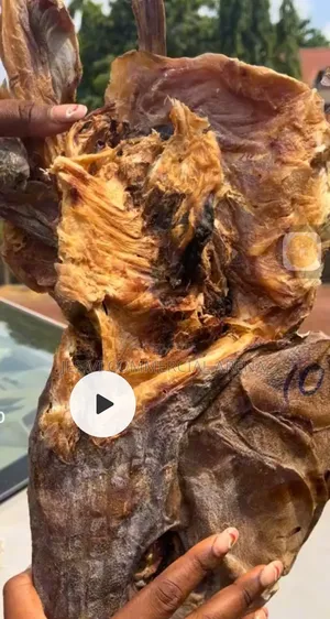 Stock Fish (Apama With Head)