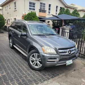 Mercedes-Benz GL-Class GL 450 2010 Gray