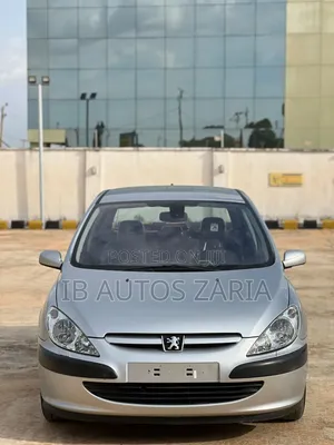 Peugeot 307 2005 Silver