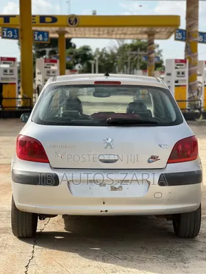 Peugeot 307 2005 Silver