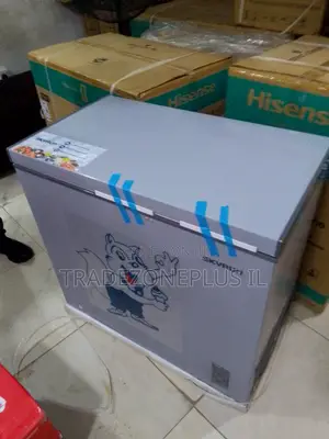 SkyRun BD250AI Large Capacity Deep Freezer