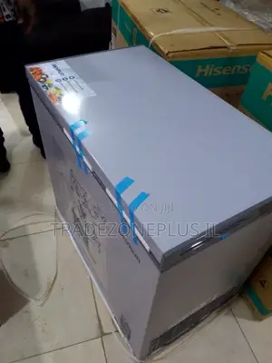 SkyRun BD250AI Large Capacity Deep Freezer