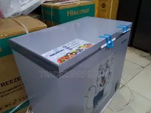 SkyRun 250 Litres Chest Freezer for Home