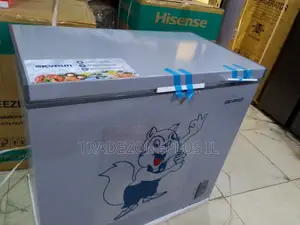 BD-250AI SkyRun Deep Freezer 250L