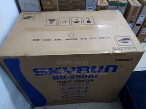 SkyRun Inverter Deep Freezer 250 Litres