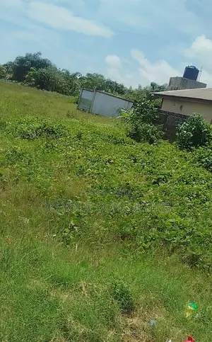 Commercial Land for Rent