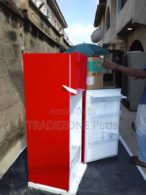 Hisense 204L – Ideal Refrigerator for Home Use