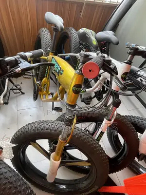 Big Tyre Bicycle