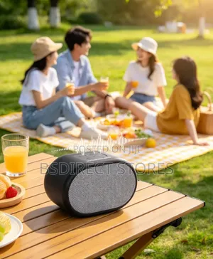 Goodmans Portable Bluetooth Speaker. Silver. Rose Gold.Black