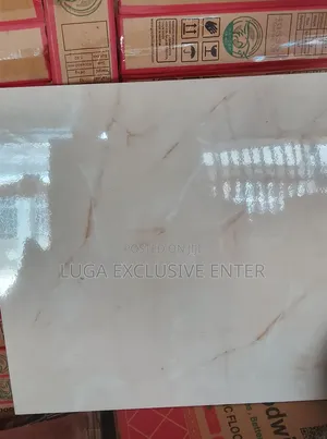 60x60cm Floor 66000