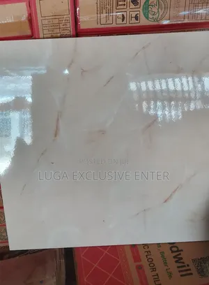 60x60cm Floor 66000