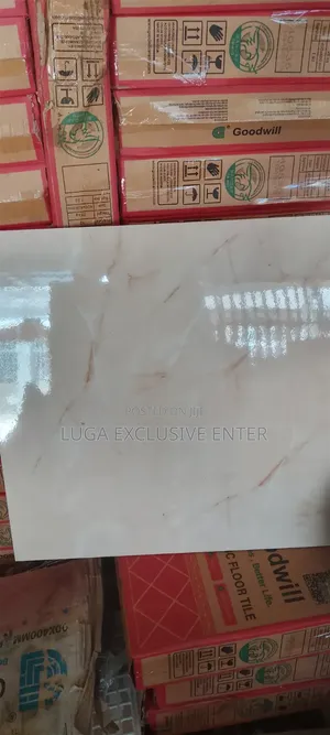 60x60cm Floor 66000