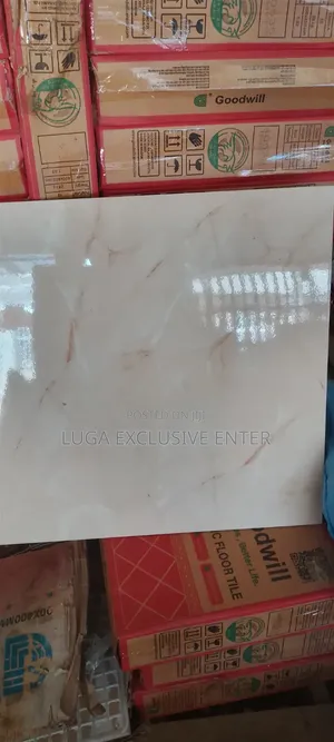 60x60cm Floor 66000
