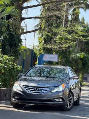 Hyundai Sonata 2011 Brown