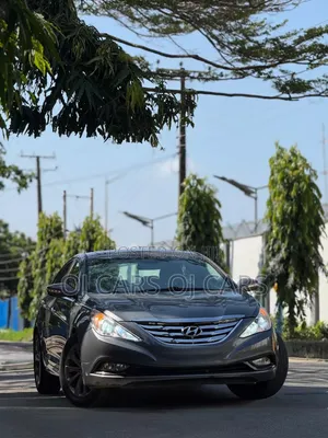 Hyundai Sonata 2011 Brown