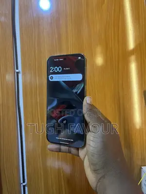 Google Pixel 9 Pro XL 256 GB Silver