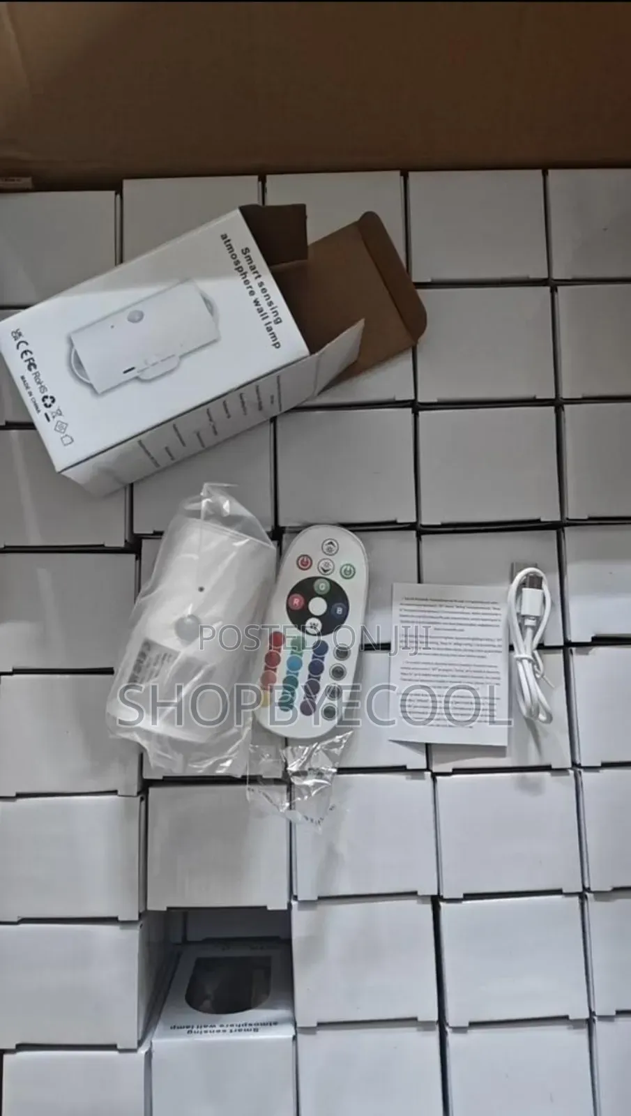 Smart Sensor Light With Remote
