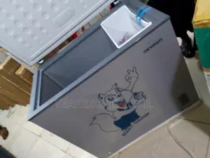 SkyRun BD-250AI Cold Storage Freezer