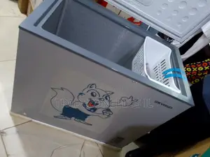 250L SkyRun Chest Freezer for Frozen Foods