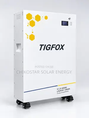 TIGFOX 30kWh 51.2V 600Ah Movable LiFePO4 Lithium Battery (Brand New)