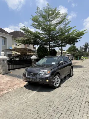 Lexus RX 350 2010 Brown