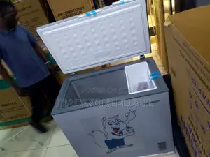 SkyRun 250L Storage Freezer With Inverter