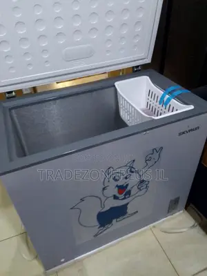 250L SkyRun Freezer for Food Storage