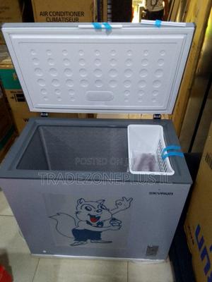 SkyRun BD-250AI Heavy Duty Chest Freezer