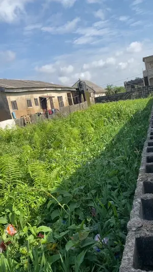 Halfplot of Land at Ijegemo, Ijegun. Lagos