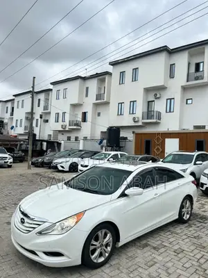 Hyundai Sonata 2010 White