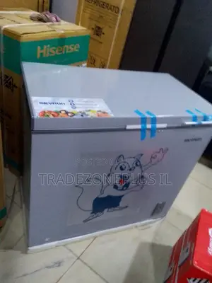 SkyRun 250L Inverter Deep Freezer for Shop