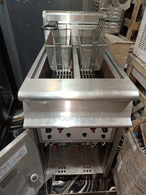 Standing Deep Fryer 2 Basket Italian Used