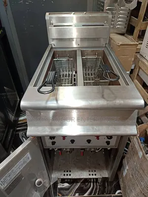 Standing Deep Fryer 2 Basket Italian Used