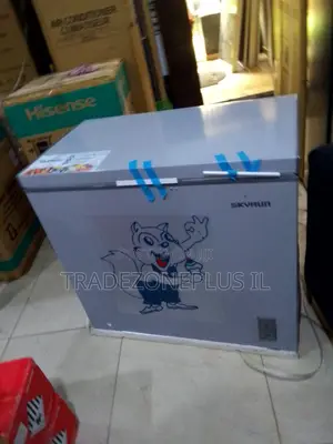 SkyRun 250L Deep Freezer for Cold Storage