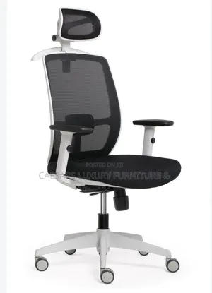 High Back Ergonomic Mesh Office Chair With Head Rest