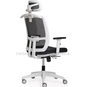 High Back Ergonomic Mesh Office Chair With Head Rest
