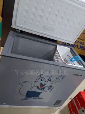 SkyRun 250L Chest Freezer Storage Unit
