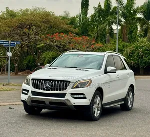 Mercedes-Benz M Class 2013 White