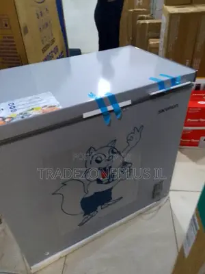 250L BD-250AI SkyRun Commercial Freezer