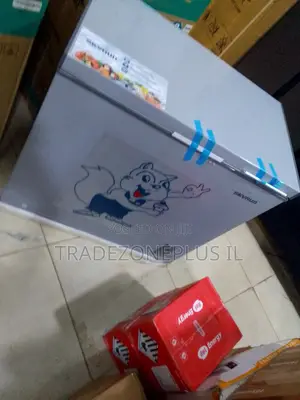 SkyRun BD-250AI Freezer for Frozen Products