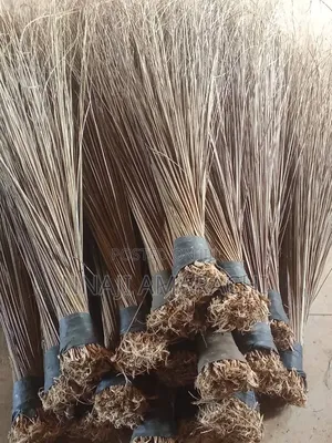Coconut Broom