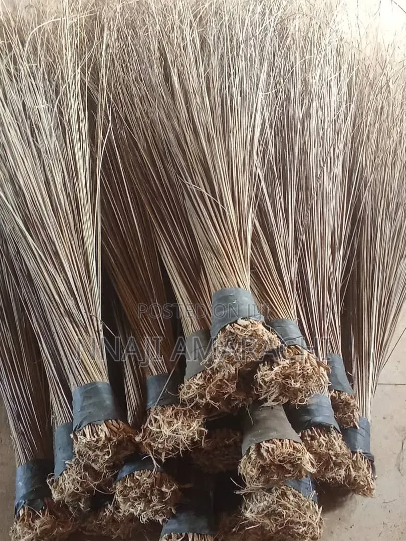 Coconut Broom