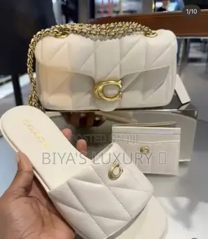Coach Bag and Shie Set