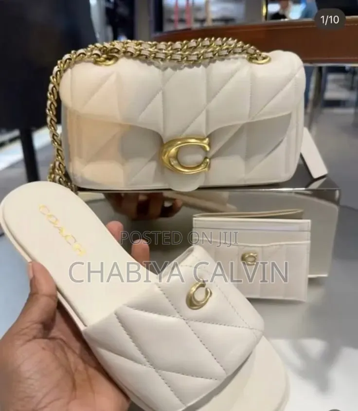 Coach Bag and Shie Set