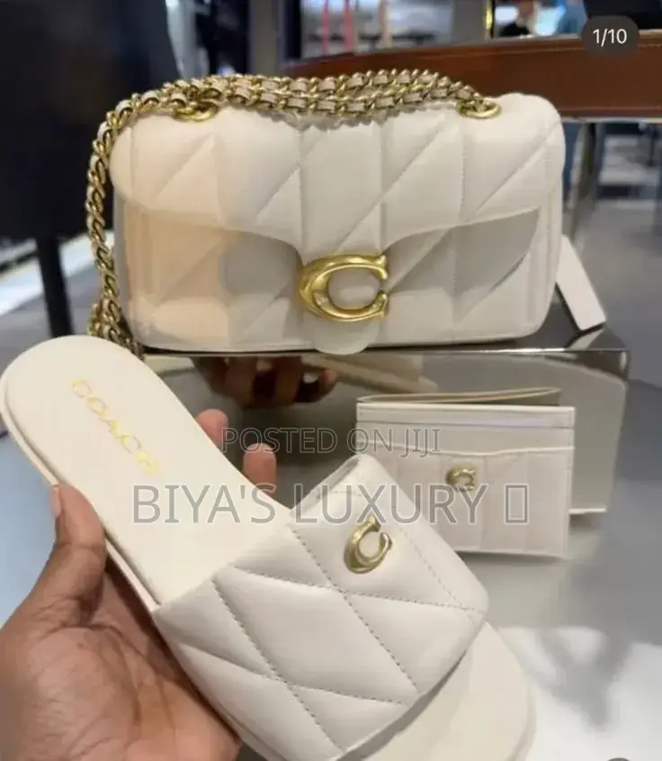 Coach Bag and Shie Set