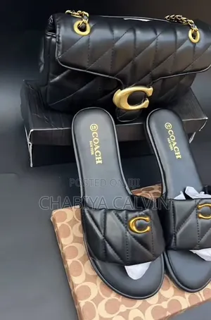 Coach Bag and Shie Set