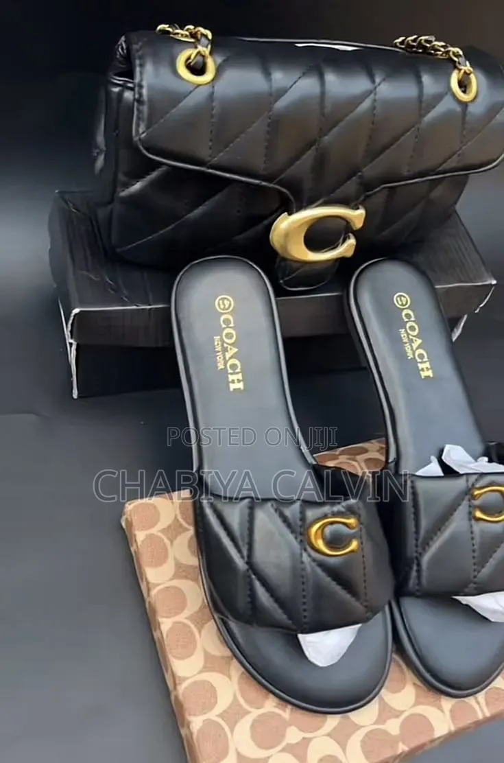 Coach Bag and Shie Set