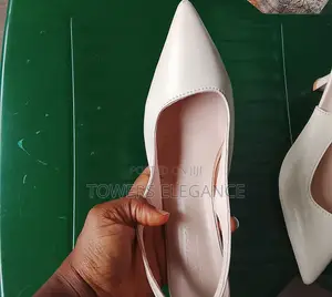 Pointy Toe Heel Shoe