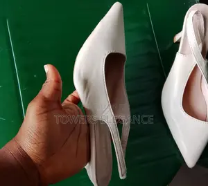 Pointy Toe Heel Shoe