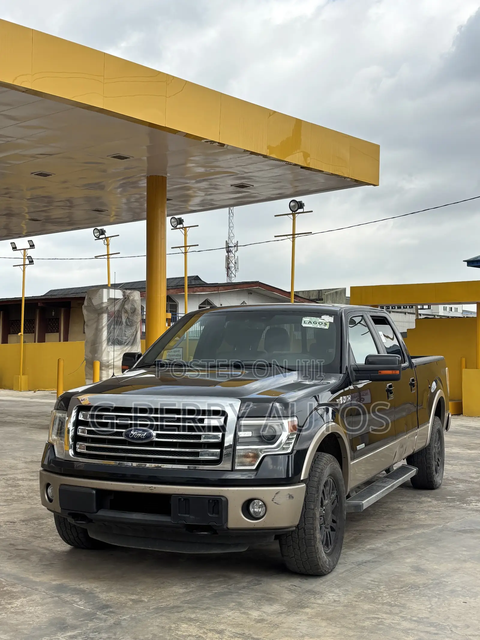 Ford F-150 2013 Green